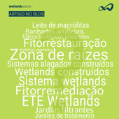 Wetlands construídos, fitorremediação, zona de raiz, biofiltros: qual a maneira mais adequada para nomear a tecnologia?