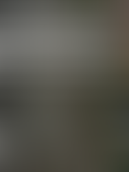 Governo do Espírito Santo realiza leilão de R$ 2,24 bi para tratamento de esgoto para reúso em siderúrgica