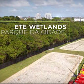 ETE Wetlands Parque da Cidade: saneamento em sintonia com o planeta, na COP 30