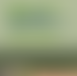 Análise e comparação técnica e econômica de alternativas de processamento de lodo de estações de tratamento de esgotos sanitários para uso em solos