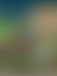 O papel da vegetação nos wetlands: é preciso podar a vegetação?