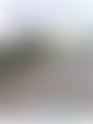 O papel da aeração nos processos biológicos das ETEs