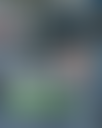 Influência de Parâmetros Físico-Químicos e Inorgânicos no Desempenho de Sistemas de Osmose Reversa