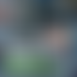 Influência de Parâmetros Físico-Químicos e Inorgânicos no Desempenho de Sistemas de Osmose Reversa