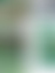 E-book gratuito da Embrapa: Saneamento Básico Rural