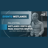 Wetlands Construídos - Palestra wetlands verticais para esgotos brutos com o Prof. Marcos von Sperling