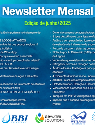 Newsletter mensal LinkedIn - Edição junho/2025