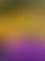 Case Wetlands para águas de mineração | Remoção de ferro e manganês