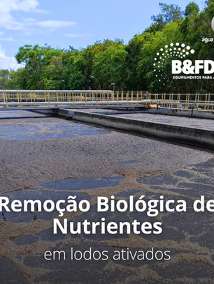 Remoção biológica de nutrientes no processo de lodos ativados