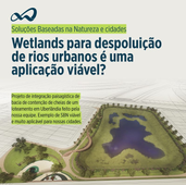 Wetlands para despoluição de rios urbanos é uma aplicação viável?