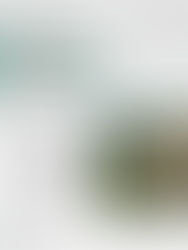 Tubos de Distribuição em Decantadores de Alta Taxa: são realmente necessários?