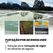 Flotação por Ar Dissolvido (DAF) como Solução para Remoção de Algas de Efluentes de Lagoas