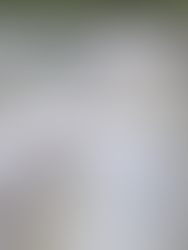 Assista ao vídeo de um projeto de ETA sob medida entregue pela Linsul, para indústria de celulose e papel