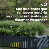 São as plantas que removem matéria orgânica e nutrientes em sistemas wetlands? A resposta é: NÃO!