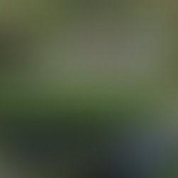 São as plantas que removem matéria orgânica e nutrientes em sistemas wetlands? A resposta é: NÃO!