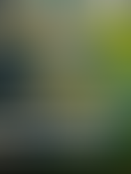 O novo marco legal do saneamento básico