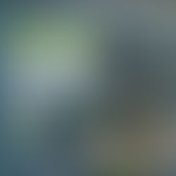 Confira o que foi abordado no WORKSHOP ONLINE: Adequação de ETE Municipal para Nitrificação