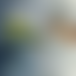 Oportunidades profissionais em diversos setores!