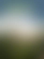 Vegetação: a pior inimiga dos wetlands