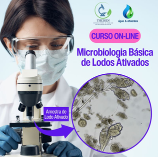 Curso On-line: MICROBIOLOGIA BÁSICA DE LODOS ATIVADOS