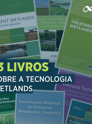 13 Livros sobre a tecnologia wetlands