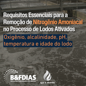 Requisitos Essenciais para a Remoção de Nitrogênio Amoniacal no Processo de Lodos Ativados
