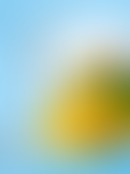 Planejamento Sustentável na Construção Civil