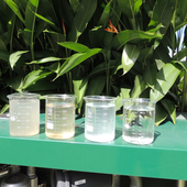 Para implantar um sistema wetlands, contrate uma empresa especializada na tecnologia