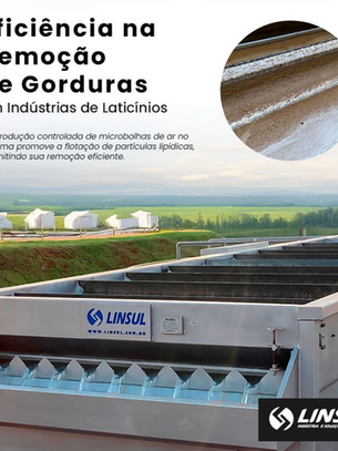 Flotador por Ar Dissolvido: Tecnologia de Alta Eficiência na Remoção de Gorduras em Indústrias de Laticínios - Linsul
