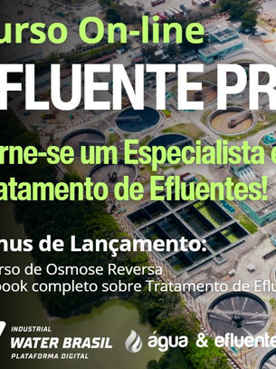 Curso On-line EFLUENTE PRO - Bônus exclusivos de lançamento