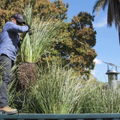 Wetlands verticais: conheça as fases e as vantagens destes filtros biológicos percoladores