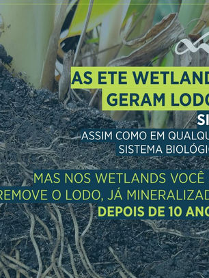 As ETE Wetlands geram lodo?