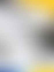 Como Separar Fibras e Contaminantes na Indústria de Papel e Celulose