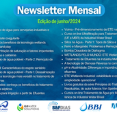 Newsletter mensal LinkedIn - Edição junho/2024