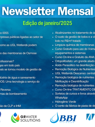 Newsletter mensal LinkedIn - Edição janeiro/2025