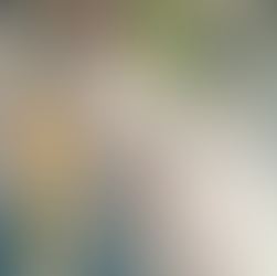 Planta de valorização de lodo de esgoto agregado a subprodutos de indústria siderúrgica