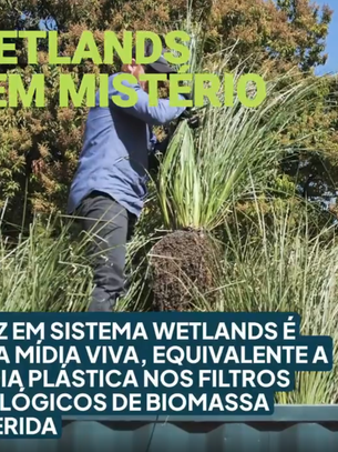Wetlands sem mistério