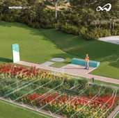 Os sistemas wetlands podem se parecer com um jardim, mas não são um jardim