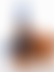 Curso On-line: Bombas Centrífugas