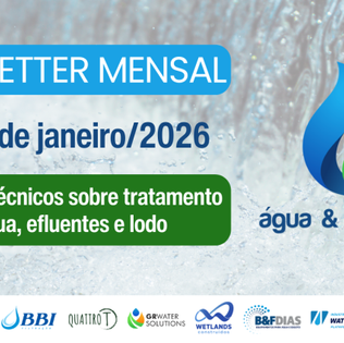 Newsletter mensal LinkedIn - Edição janeiro/2026