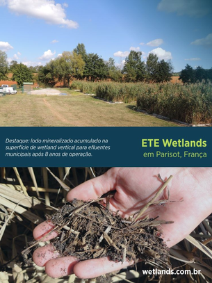 ETE wetlands gera lodo? Sim! Mas com manejo simplificado e remoção a cada 10 anos