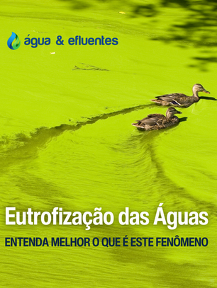 Eutrofização das águas: Entenda melhor o que é este fenômeno