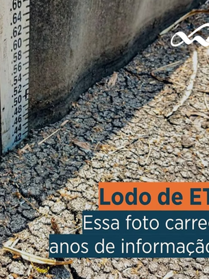 41 cm de lodo acumulado durante anos em uma UGL Wetlands para lodo de ETE