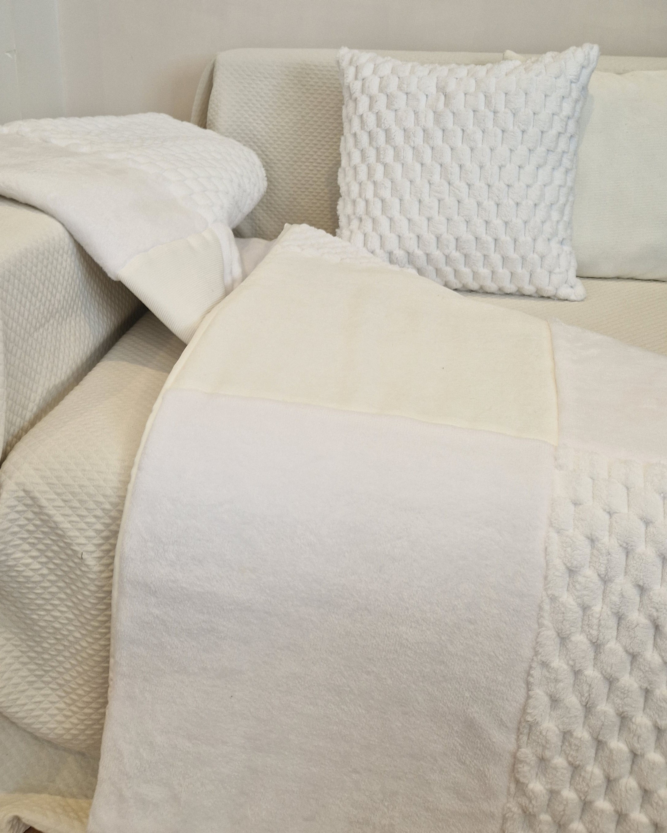 Paloma (Nuage d'Hiver)