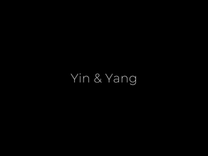 The Yin & the Yang