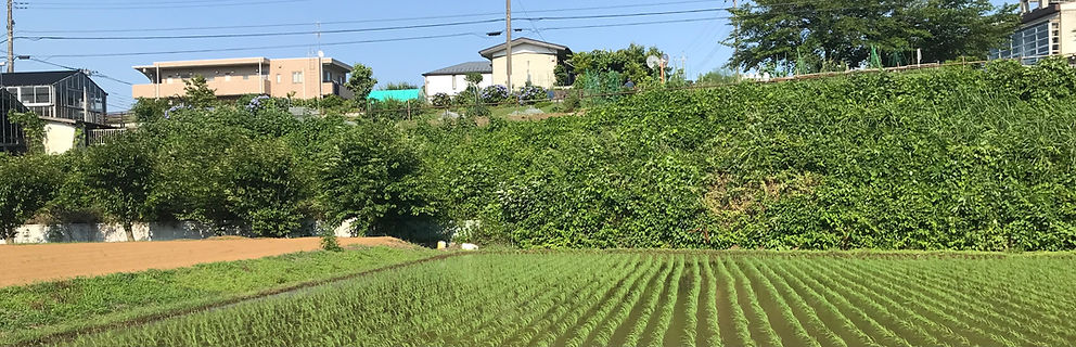 川崎市岡上.jpeg