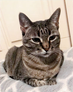 27379E5B-142B-4210-A8B2-B472578FFB20_edited