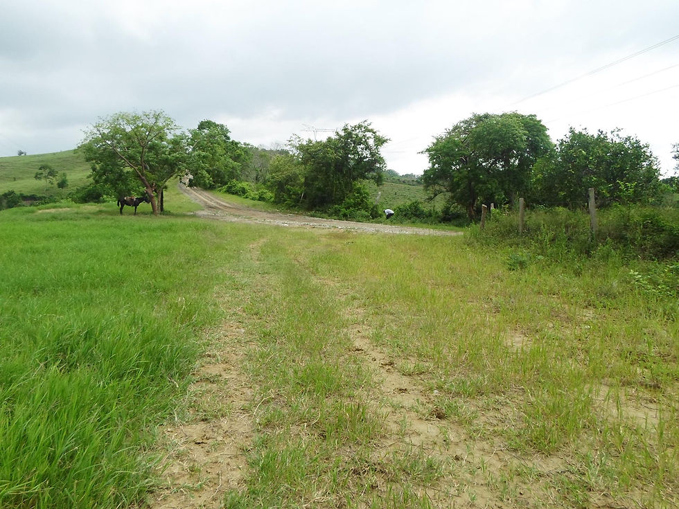 Paisaje1