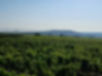 Blick Richtung Kaiserstiege