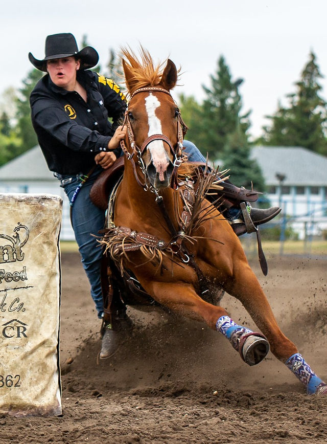 Finals | Heartland Rodeo
